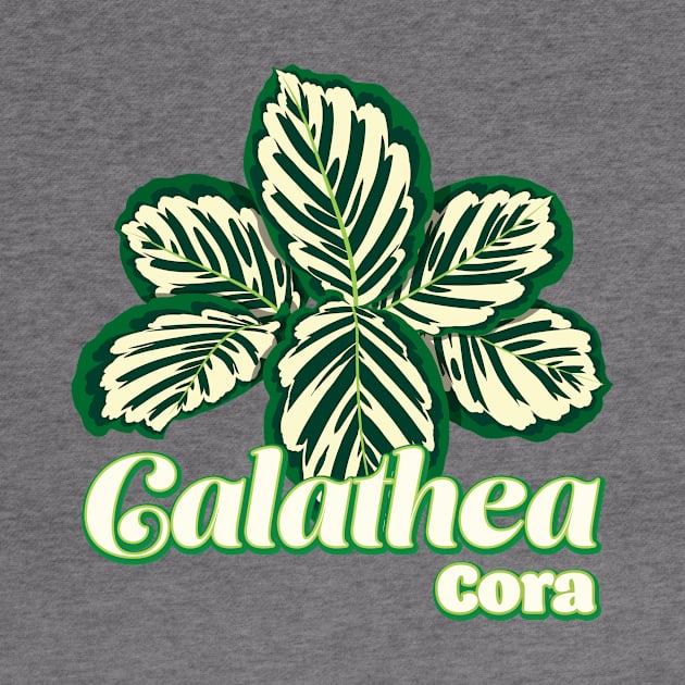 Calathea Cora by LEO+SKYLAR